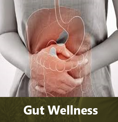 gut wellness